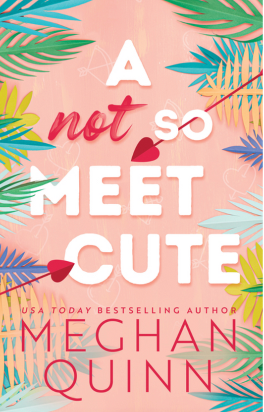 A Not So Meet Cute (Cane Brothers #1)